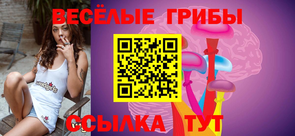 Вичуга  Галлюциногенные грибы Magic Shrooms  Вход с VPN 